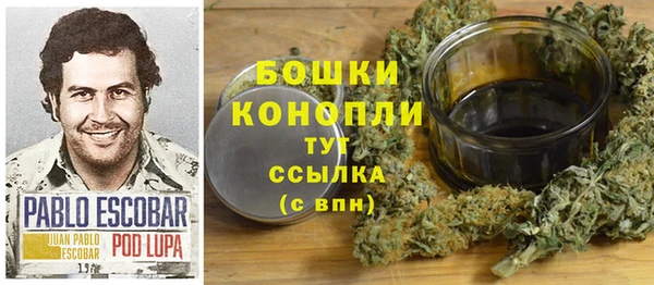 дурь Медногорск